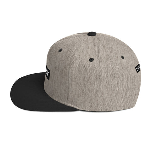 FRLP Snapback Hat 2 Tone (Heather Gray/Black)